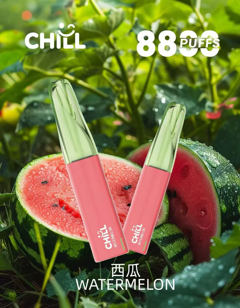 CHILL8800口拋棄式-西瓜